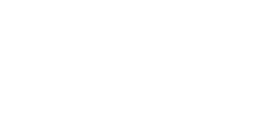 Vintegrity White Logo